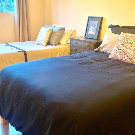 מקסיקו סיטי Amazing Cozy Apartment In Condesa מראה חיצוני תמונה