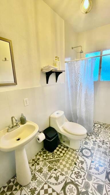 מקסיקו סיטי Amazing Cozy Apartment In Condesa מראה חיצוני תמונה