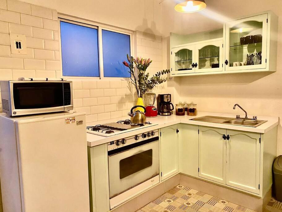 מקסיקו סיטי Amazing Cozy Apartment In Condesa מראה חיצוני תמונה